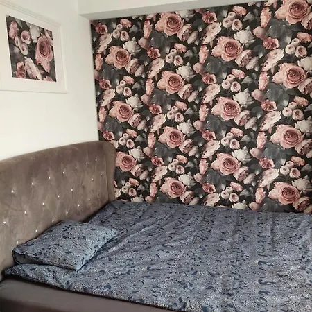 Apartamenty Niko Zator Exterior photo